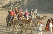 Super Safari in Hurghada: Quad Bike, Spider Car, Jeep & BBQ