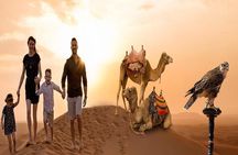 Morning Desert Safari