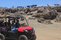 Aruba UTV, ATV Adventure to Beach with cliff jumping