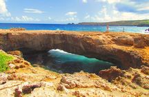 Colorful Beach Bus Sightseeing Tour of Aruba