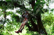 Tarzan Swing Adventure