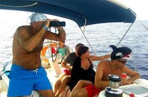 Sailing Trip and Snorkeling (max. 8 people)