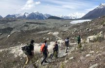 Half Day Root Glacier Hike