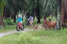 Half-Day Penang Countryside Cycling Tour