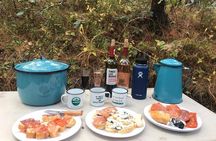 Camping Sierra Gorda