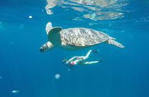 5D/4N (Hostel) Backpacker Lombok Tour Package