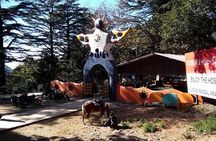 NAINITAL TOUR (2 Nights /3 Days) 