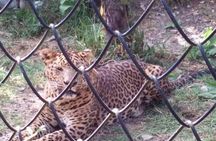 NAINITAL TOUR (2 Nights /3 Days) 