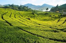 One Day Trip : Bogor Highland Waterfall Tour With Lunch