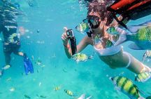 All-in Phi Phi, Maiton, MayaBay, Khai, Bamboo islands Tour 