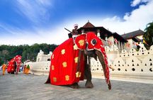 Kandy Day Tour