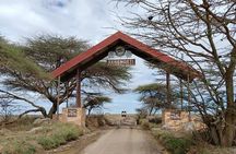 5 Days, 4 Nights Private Safari to Lake Manyara, Serengeti and Ngorongoro Parks