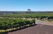 Full Day Winery Tour in a Classic Silver Spirit Rolls Royce