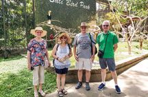 Full Day Tour, One day tour service local areas