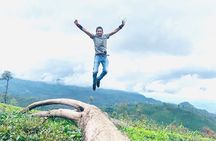 Sightseeing tour Ella & Diyaluma waterfall by car