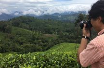Sightseeing tour Ella & Diyaluma waterfall by car