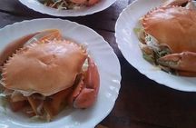 ROBINSON ISLAND/MARAFA HELL's KITCHEN