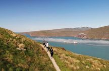Full-Day Godley Head Coastal Hike with Picnic Lunch