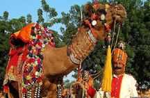 Private Jaipur City Tour From Delhi By Cab With Professional Driver 