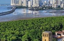 #1 Walking Tour of Casco Viejo Panama with Lunch included 