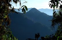 Prívate birding tour in Mindo Cloud-Forest + Mitad del mundo