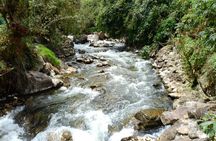 Papallacta Hot Springs & Guango Birding Reserve Private Tour