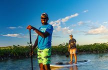 Grand Turk Exclusive Paddle Adventure