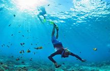 Amazing snorkeling full-day tour to Cozumel Cielo Starfish Reef
