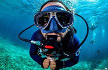 Introduction Shore Dive with Scubaçao (2 dives)
