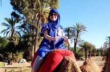 Marrakech Camel ride & Quad Bike experience in the oasis Palmeraie 