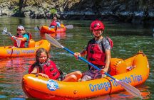 Rogue River Hellgate Canyon PM Half-Day Raft Trip