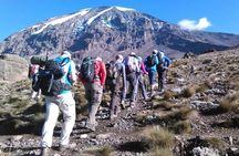 8 Days Lemosho Route Kilimanjaro Trekking