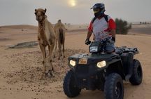 Desert Safari Dubai, ATV Bike, Camel Riding, VIP Sitting and BBQ