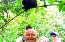 Private Altun Ha Maya Ruin & Howler Monkey Adventure From Belize City