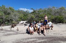 Tour to Pinzón + Las palmas