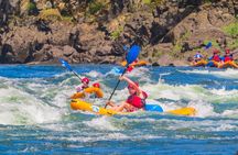 Riggins Idaho 1-day Rafting Trip on the Salmon River