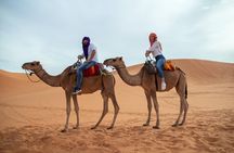  Zagora—Sahara Desert | 2 days & 1 night 