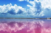 Río Lagartos y Las Coloradas Private Tour from Merida