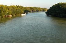 Río Lagartos y Las Coloradas Private Tour from Merida