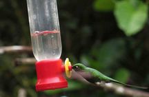 Private Excursion Middle of the World & Hummingbirds Alambi