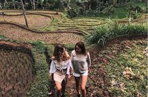 Tete Batu Tour (Temple, Terrace Rice, and Waterfalls)