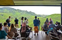 Cameron Highlands Private Day Tour from Kuala Lumpur