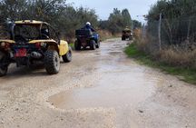 Beach & Off road Buggy Safari in Paphos