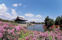 4Day Private Tour from Busan to Seoul, Gyeongju, Tongyeong, Oedo-Botania Island