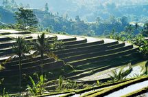 Full-Day Tour to Water Temples and UNESCO Rice Terraces in Bali