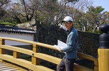 Wakayama Castle Town Walking Tour