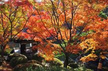 The Best of Wakayama City Private Tour