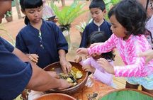 Elephant Nature Care, the largest elephant sanctuary on Koh Samui