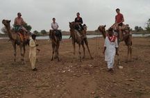 Over Night Camel Safari 