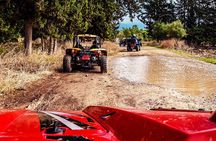 Village & Mountain Buggy Safari in Paphos